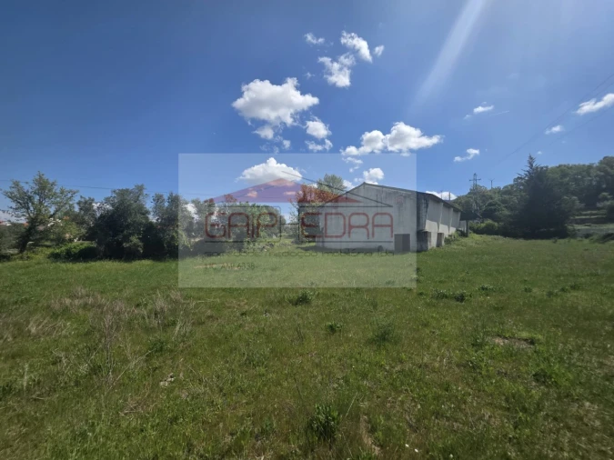 Prédio para Venda em Bornes de Aguiar Foto 23