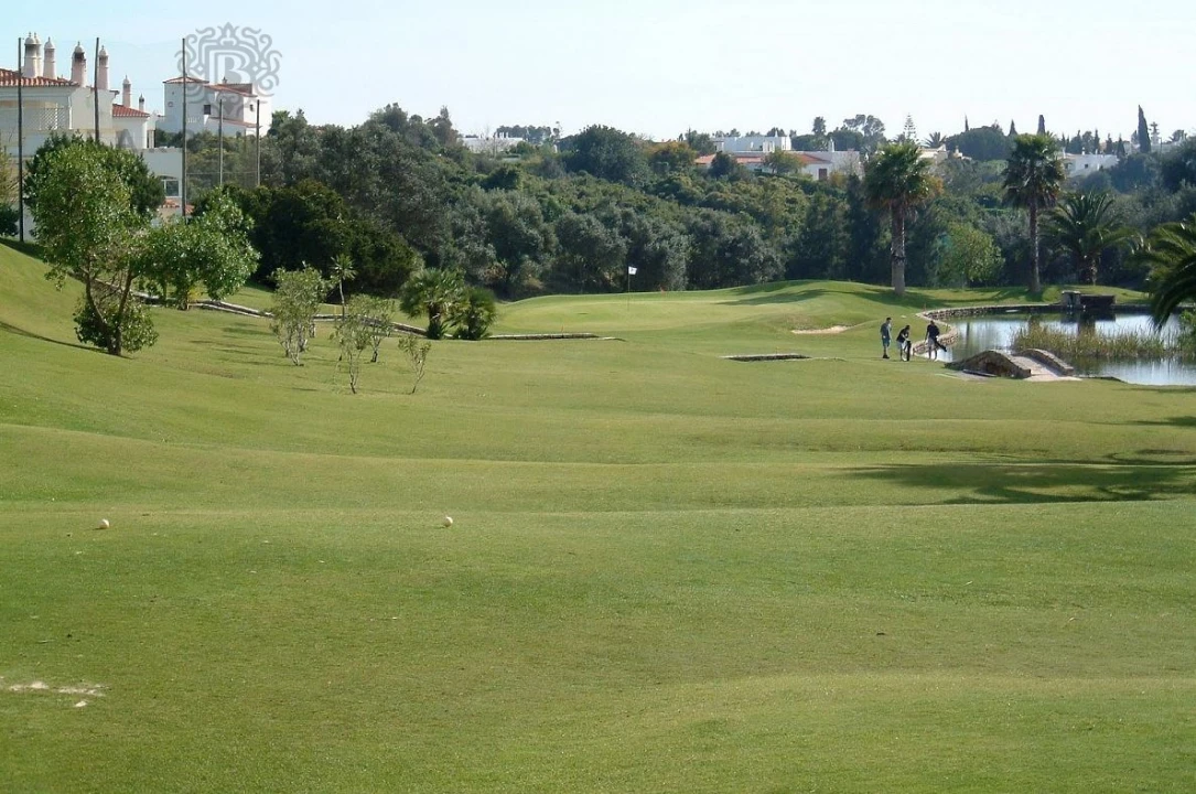 Negócio para Venda em Lagoa e Carvoeiro Foto 3