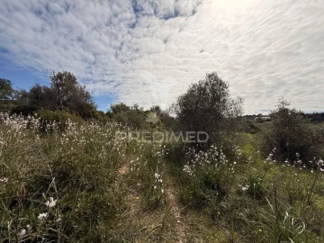 Terreno para Venda em Conceição e Estoi