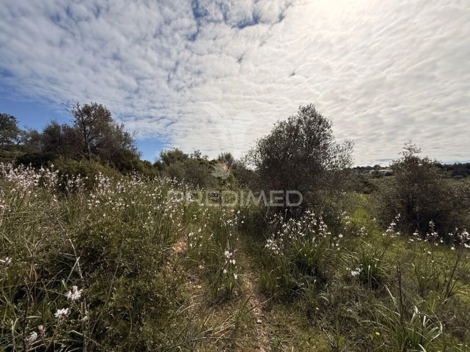Terreno para Venda em Conceição e Estoi Foto 15