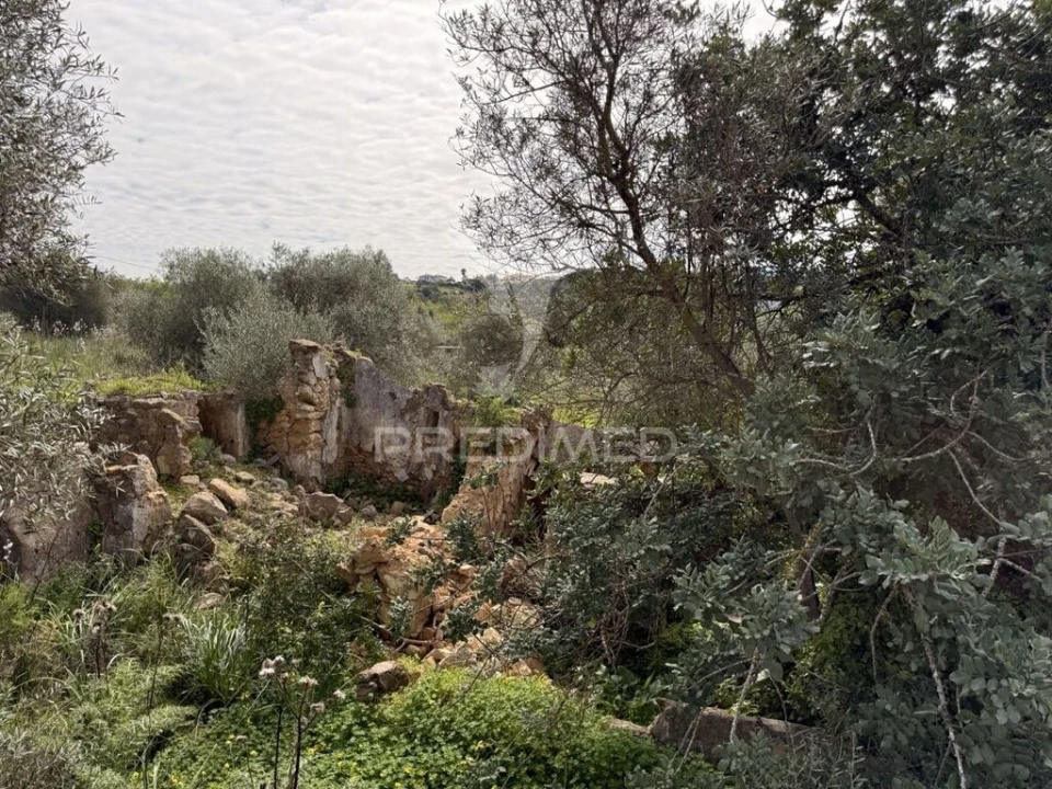 Terreno para Venda em Conceição e Estoi Foto 6