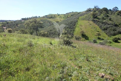 Terreno para Venda em São Bartolomeu de Messines