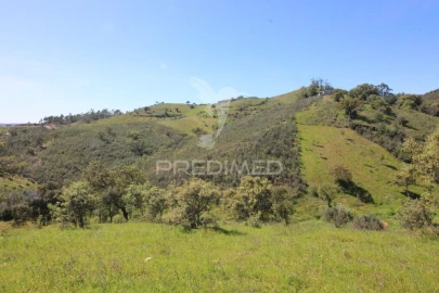 Terreno para Venda em São Bartolomeu de Messines