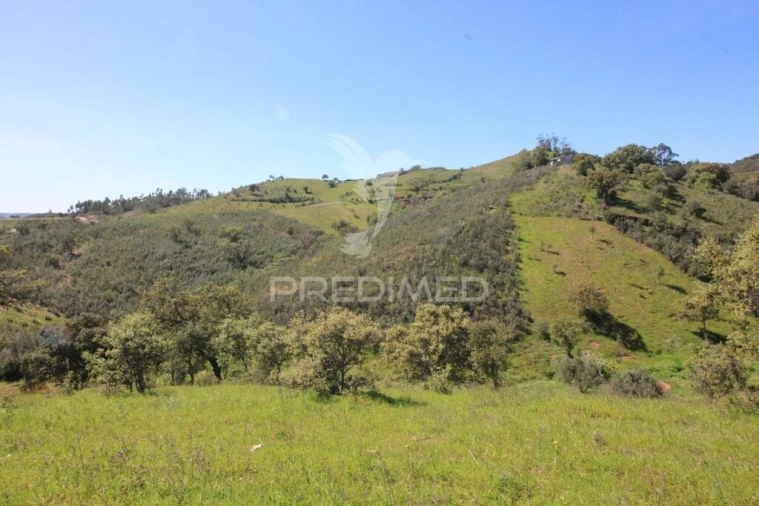 Terreno para Venda em São Bartolomeu de Messines Foto 10