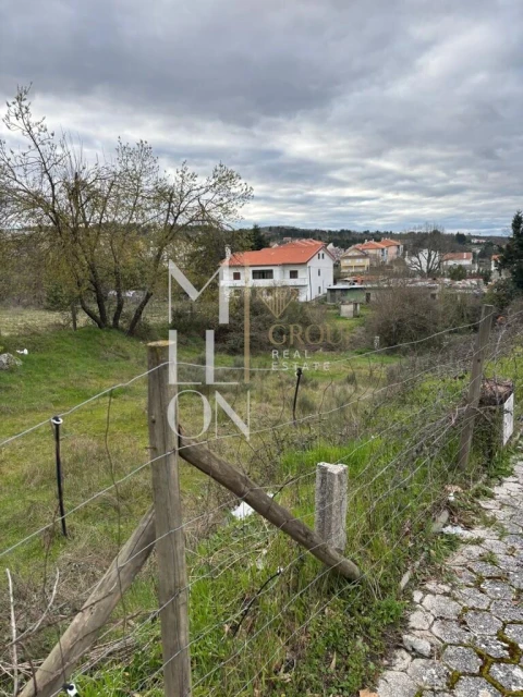 Terreno para Venda em Avelãs de Ambom e Rocamondo