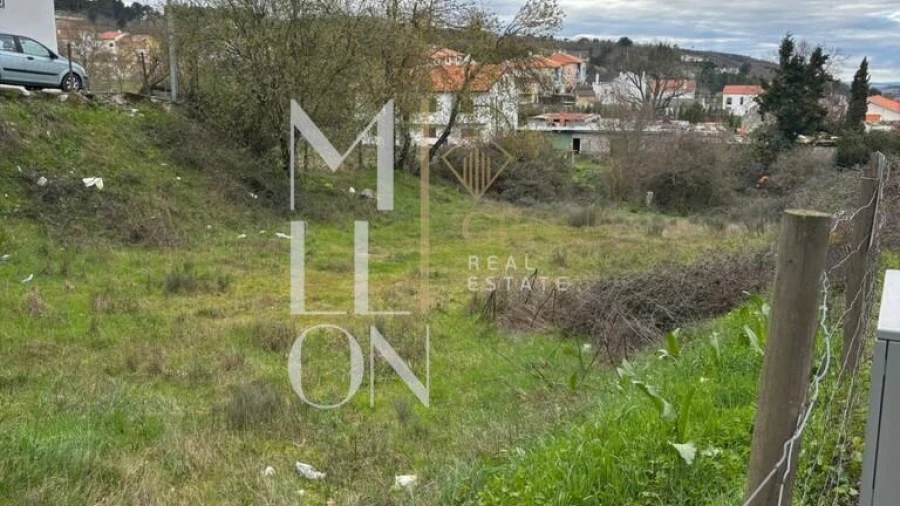 Terreno para Venda em Avelãs de Ambom e Rocamondo