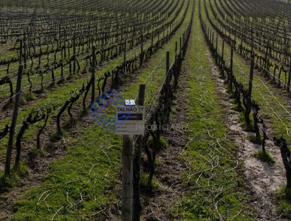 Quinta T5 para Venda em Moimenta da Serra e Vinhó Foto 1