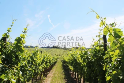 Quinta T5 para Venda em Moimenta da Serra e Vinhó