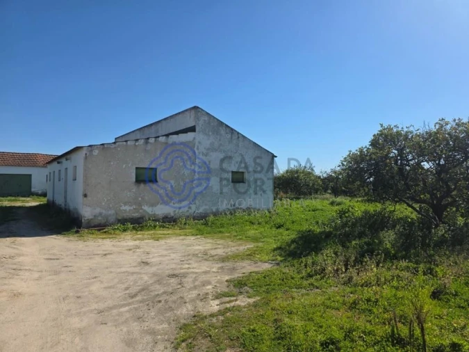 Terreno para Venda em Atalaia e Alto Estanqueiro-Jardia Foto 7
