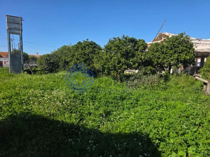 Terreno para Venda em Atalaia e Alto Estanqueiro-Jardia Foto 14