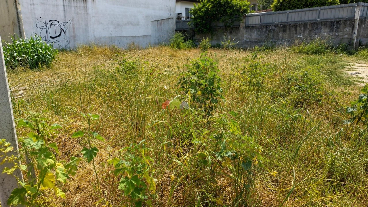 Terreno para Venda em Azeitão (São Lourenço e São Simão) Foto 8