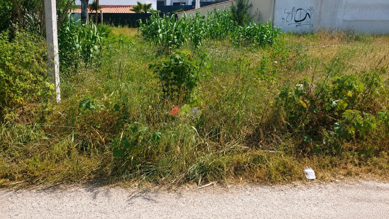 Terreno para Venda em Azeitão (São Lourenço e São Simão) Foto 6