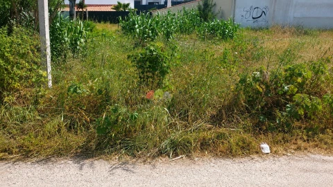 Terreno para Venda em Azeitão (São Lourenço e São Simão)