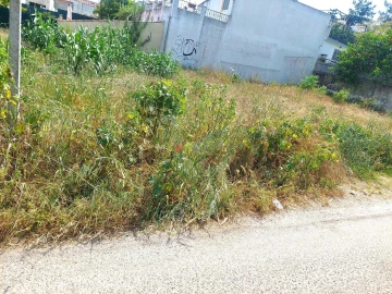 Terreno para Venda em Azeitão (São Lourenço e São Simão)