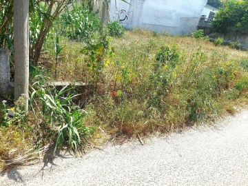Terreno para Venda em Azeitão (São Lourenço e São Simão)