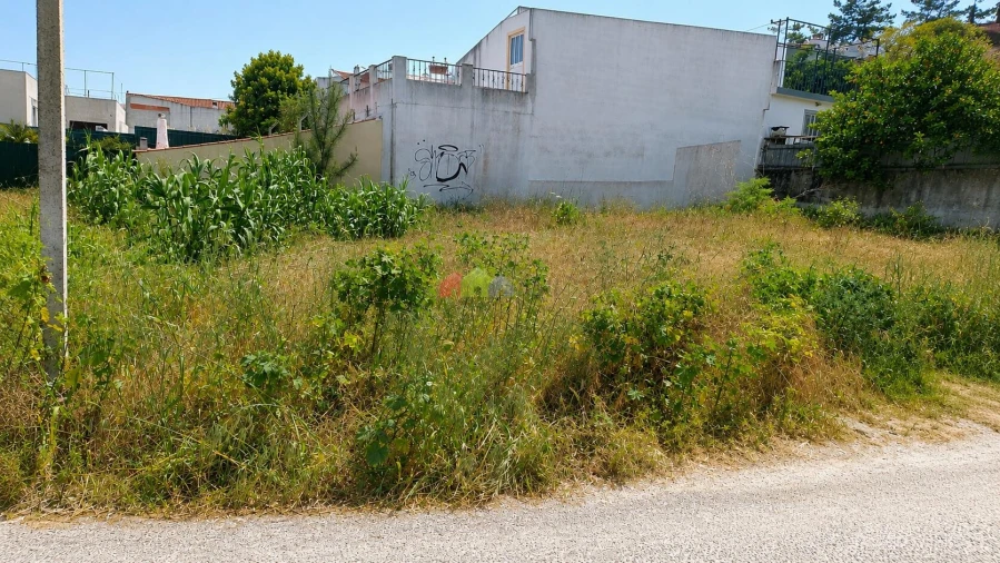 Terreno para Venda em Azeitão (São Lourenço e São Simão) Foto 5