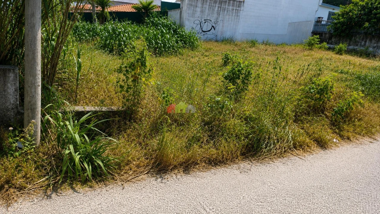 Terreno para Venda em Azeitão (São Lourenço e São Simão) Foto 7