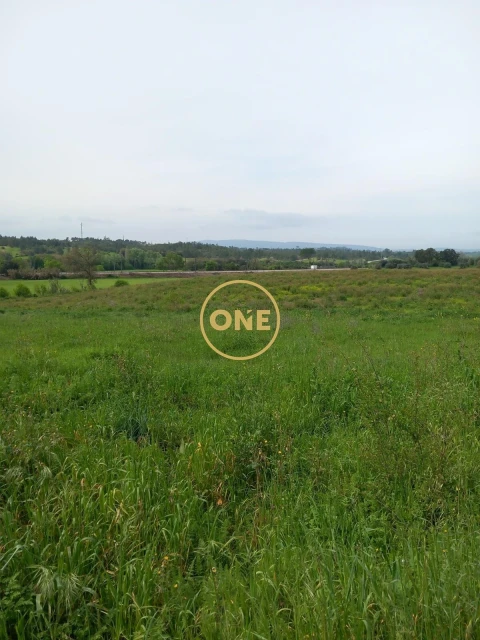 Terreno para Venda em Paialvo