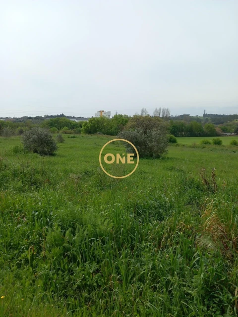 Terreno para Venda em Paialvo