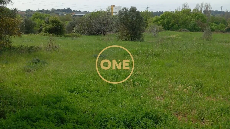 Terreno para Venda em Paialvo