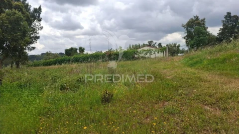 Terreno para Venda em Arneiro das Milhariças