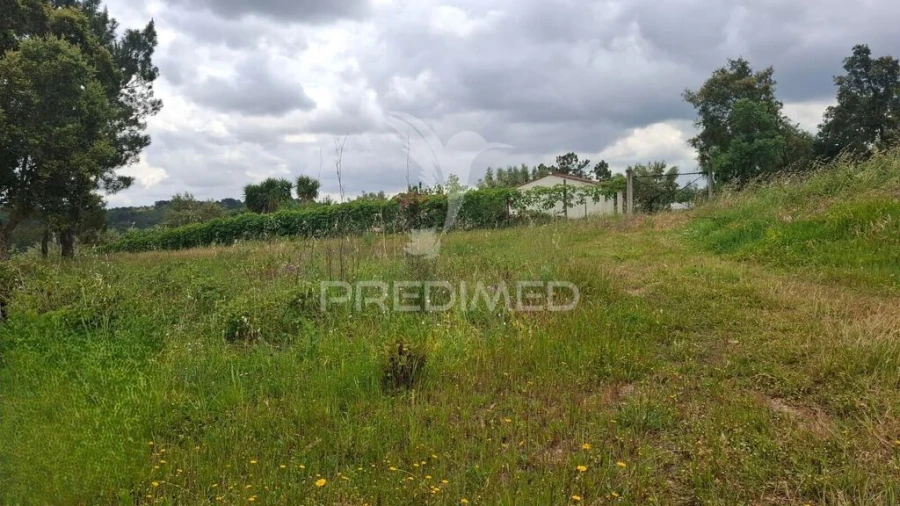Terreno para Venda em Arneiro das Milhariças Foto 3