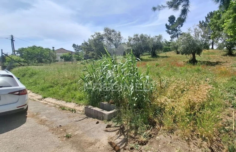 Terreno para Venda em Arneiro das Milhariças Foto 6