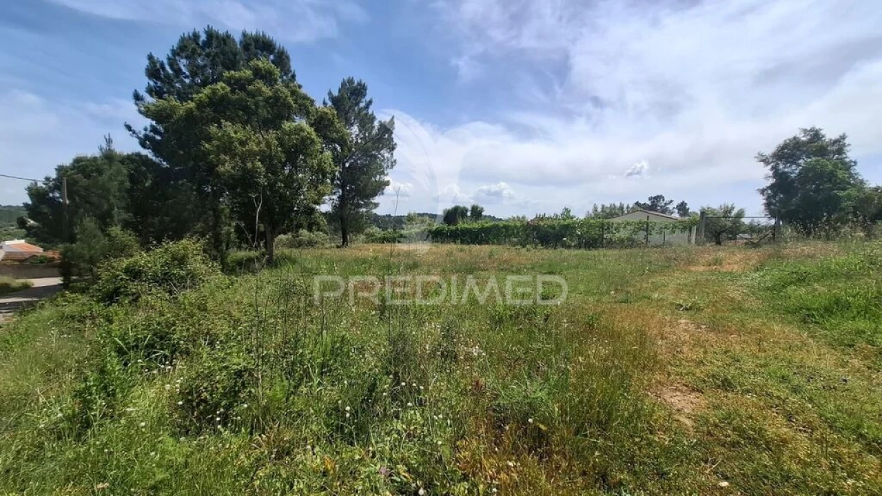 Terreno para Venda em Arneiro das Milhariças Foto 4
