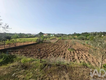 Moradia T2 para Venda em Ázere e Covelo