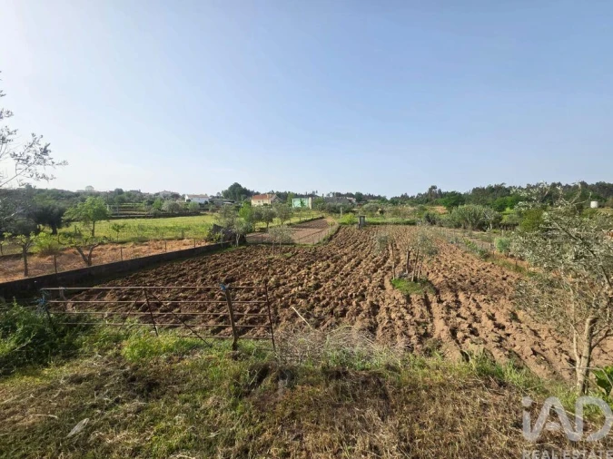Moradia T2 para Venda em Ázere e Covelo Foto 21