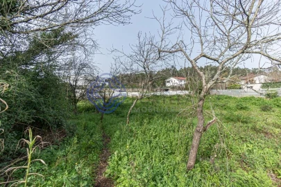 Moradia T2 para Venda em Areias, Sequeirô, Lama e Palmeira