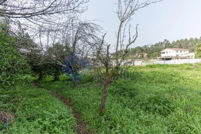 Moradia T2 para Venda em Areias, Sequeirô, Lama e Palmeira