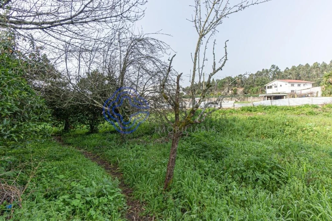 Moradia T2 para Venda em Areias, Sequeirô, Lama e Palmeira Foto 23