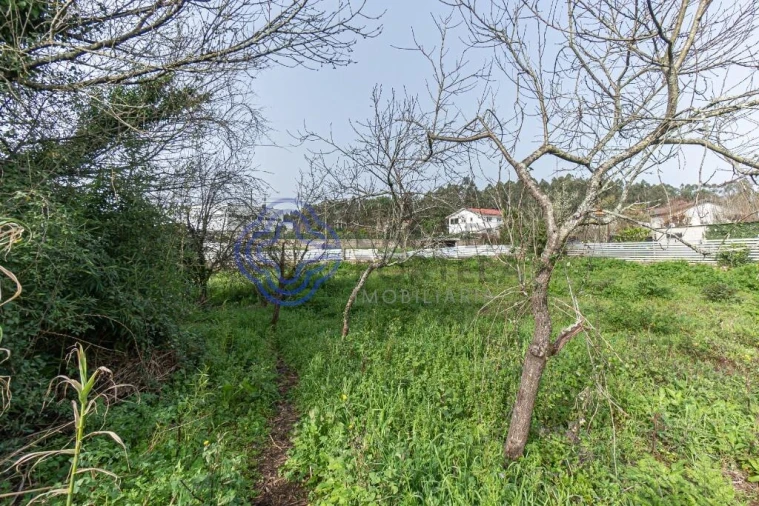 Moradia T2 para Venda em Areias, Sequeirô, Lama e Palmeira Foto 22