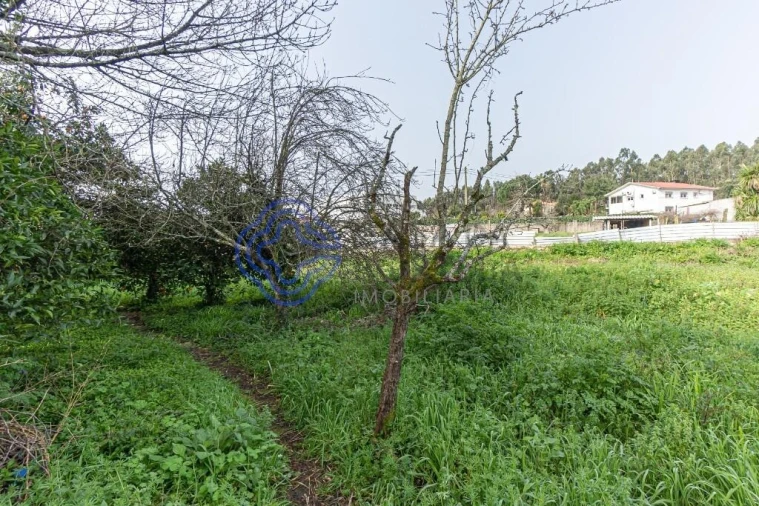 Moradia T2 para Venda em Areias, Sequeirô, Lama e Palmeira Foto 23