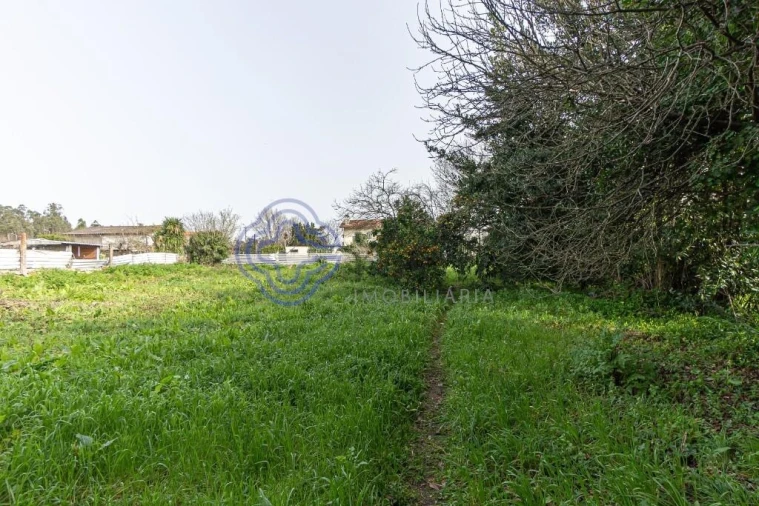 Moradia T2 para Venda em Areias, Sequeirô, Lama e Palmeira Foto 18