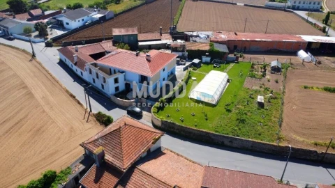 Moradia T4 para Venda em Valega