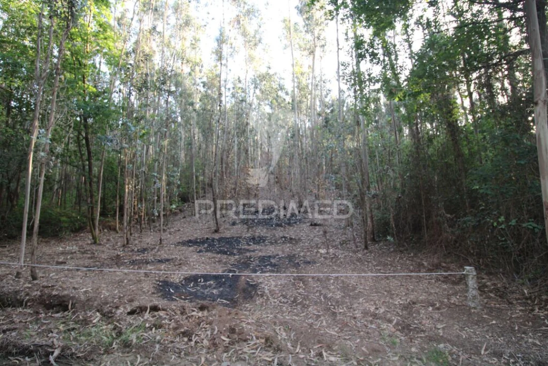 Terreno para Venda em Luzim e Vila Cova Foto 5