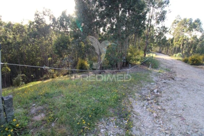 Terreno para Venda em Luzim e Vila Cova