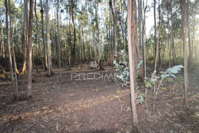 Terreno para Venda em Luzim e Vila Cova