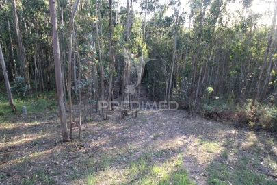 Terreno para Venda em Luzim e Vila Cova