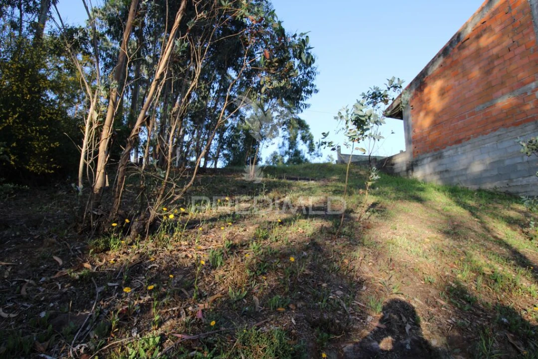 Terreno para Venda em Luzim e Vila Cova Foto 11