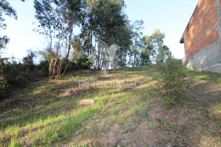 Terreno para Venda em Luzim e Vila Cova Foto 10
