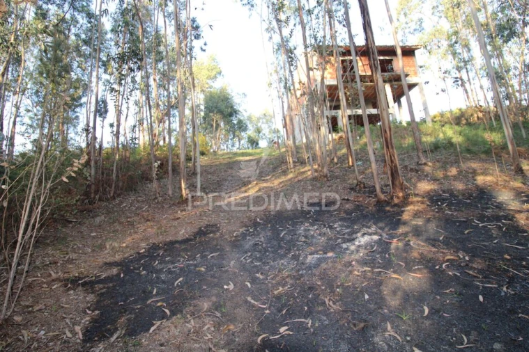 Terreno para Venda em Luzim e Vila Cova Foto 9
