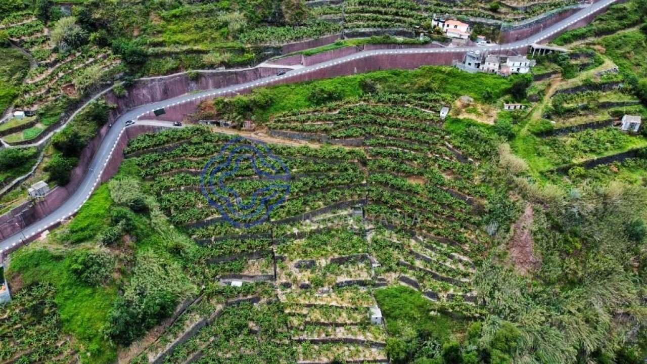 Terreno para Venda em Madalena do Mar Foto 4