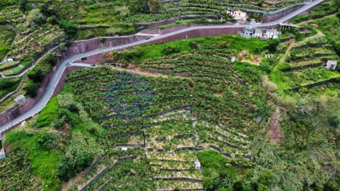 Terreno para Venda em Madalena do Mar