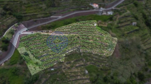 Terreno para Venda em Madalena do Mar