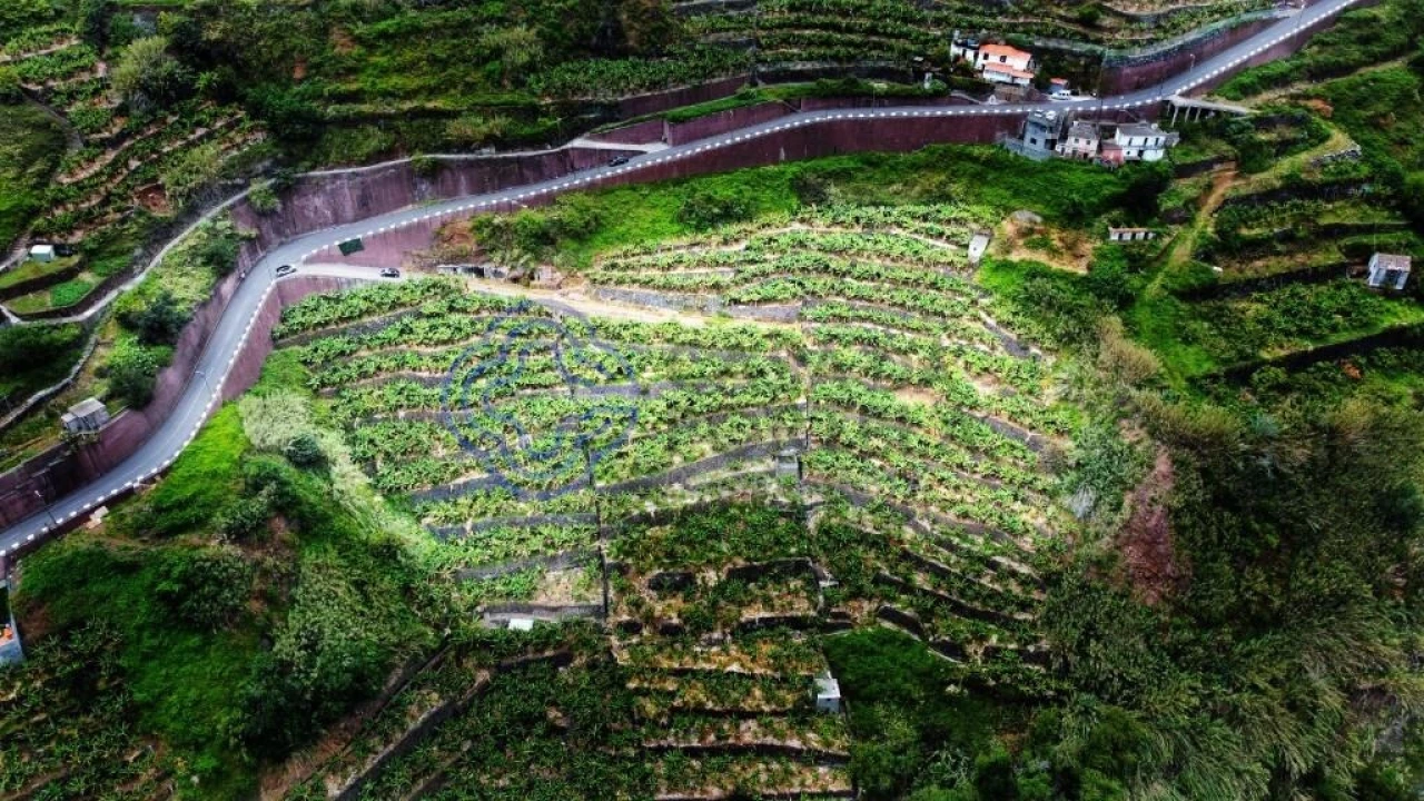 Terreno para Venda em Madalena do Mar Foto 10