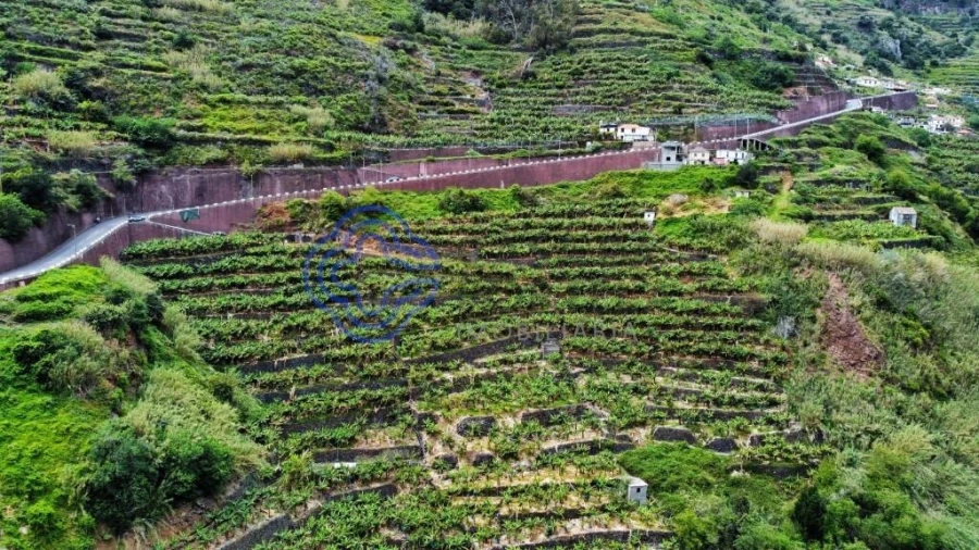 Terreno para Venda em Madalena do Mar Foto 3