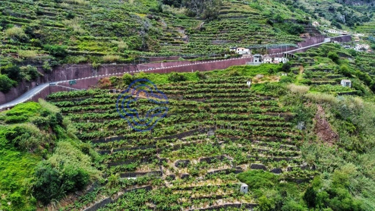 Terreno para Venda em Madalena do Mar Foto 3